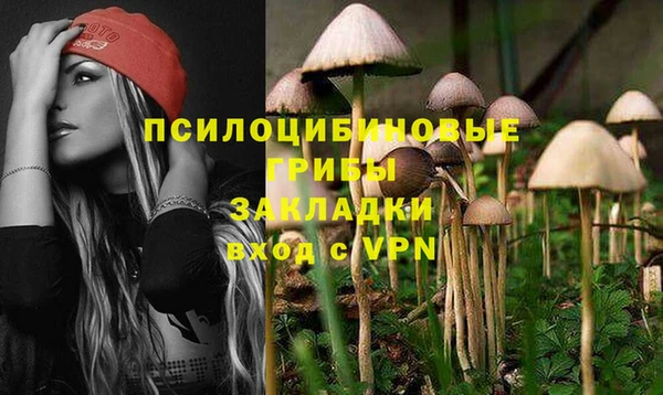 МДПВ Нефтегорск