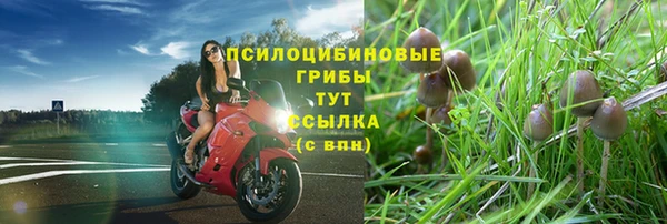 МДПВ Нефтегорск